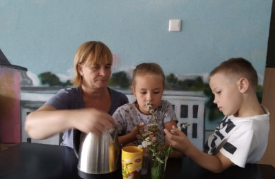 Помогатор крепкого иммунитета Сахарежа - рецепт фиточая 