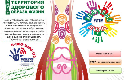 Здоровый ритм жизни