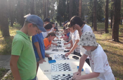Соревнования по шашкам и шахматам .