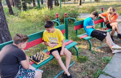 Соревнования по шашкам и шахматам .